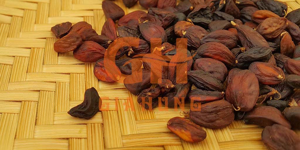 hạt dổi rừng